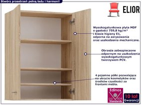 Łazienkowa szafka ścienna w kolorze dąb sonoma - Sirella 3X