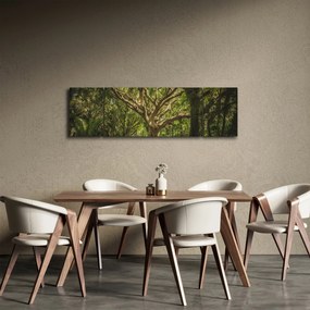 Obraz drzewa (170x50 cm)