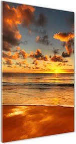 Foto obraz na szkle pionowy Australijska plaża