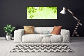 Obraz Canvas Liście Natura Roślina