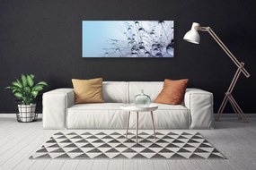 Obraz canvas na ścianę Puszysta Kula Mniszka