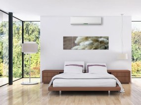 Obraz - Zajęczy ogonek (170x50 cm)