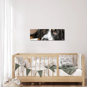 Obraz psa (z zegarem) (90x30 cm)