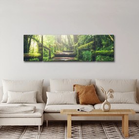 Obraz - drewniane schody w lesie (170x50 cm)