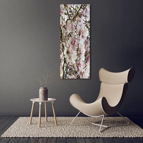 Foto obraz na szkle Kwiaty magnolii