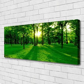 Obraz na płótnie Parkowe Alejki w Słońcu