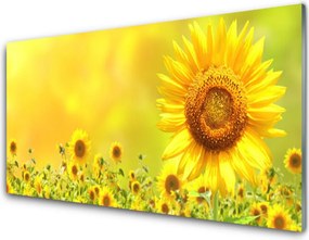 Szkło do Kuchni na Ścianę Słonecznik Pod Letnim Niebem