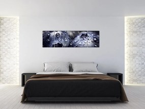 Obraz owoców z kroplami wody (170x50 cm)