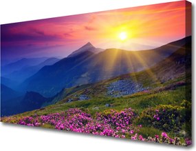 Obraz na płótnie Alpejska Łąka w Kwiatach