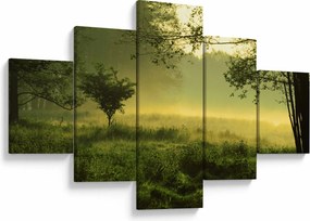 Obraz - Budzący się las (125x70 cm)