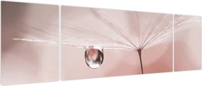 Obraz - Kropla rosy (170x50 cm)