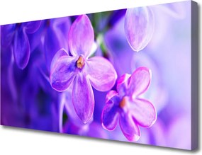 Obraz canvas na ścianę Polana Fioletowych Kwiatów