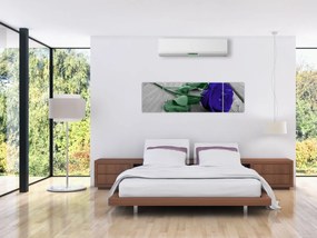 Obraz - Niebieska róża z zieloną łodygą (170x50 cm)