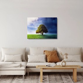 Obraz na szkle - Dzień i noc (70x50 cm)