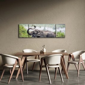 Obraz - Kąpiący się słoń (170x50 cm)