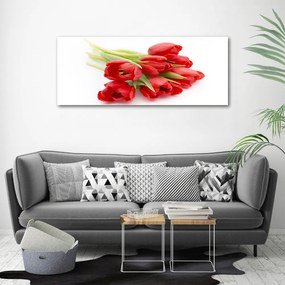 Foto obraz szklany Czerwone tulipany