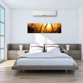 Obraz zachodzącego słońca (170x50 cm)