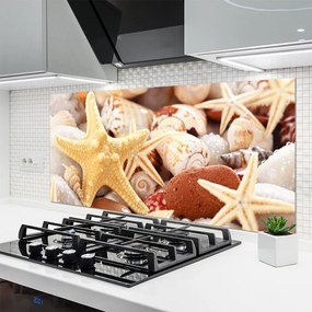 Panel Szklany Kompozycja Muszli na Brzegu