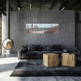 Obraz - Różowa plaża (170x50 cm)