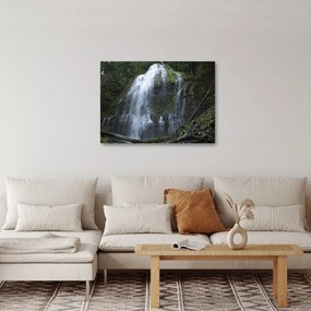 Obraz wodospadu (70x50 cm)