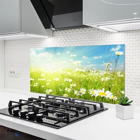 Panel Kuchenny Polana Pełna Stokrotek