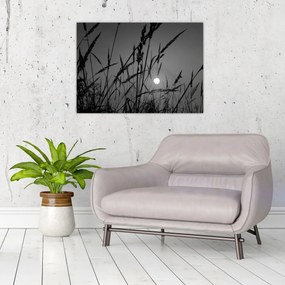Obraz - Łąka z zachodem słońca (70x50 cm)