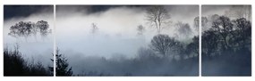 Obraz mgły nad lasem (170x50 cm)