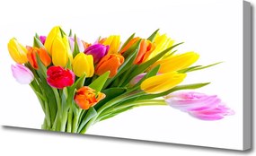 Obraz drukowany na płótnie Kolorowe Pole Tulipanów