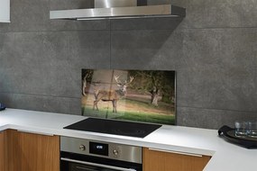 Panel Szklany Jeleń na polu