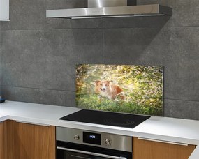 Szkło Ozdobne do Kuchni Pies wśród Leśnych Kwiatów