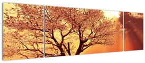 Obraz promieni Boga (170x50 cm)