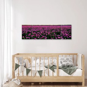 Obraz - Łąka fioletowych tulipanów (170x50 cm)