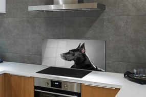 Panel szklany do Kuchni Elegancki Czarny Pies