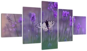 Obraz - Motyl w lawendach (125x70 cm)
