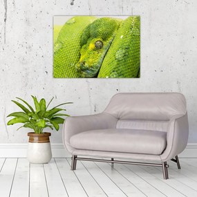 Obraz na szkle węża (70x50 cm)