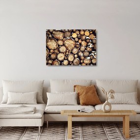 Obraz na szkle - Drewno w śniegu (70x50 cm)