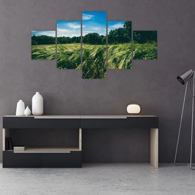 Obraz łąki i lasu (125x70 cm)