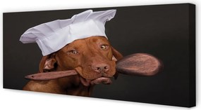 Obraz canvas na ścianę Pies w Czapce Kucharskiej