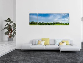 Obraz łąki (170x50 cm)