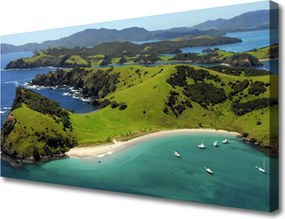 Zdjęcie na płótnie Las na Skraju Morza