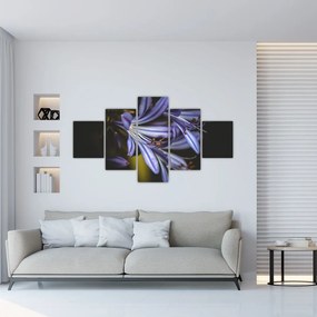 Obraz - Lilia (125x70 cm)