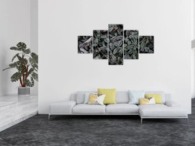 Obraz - Zamrożone rośliny (125x70 cm)