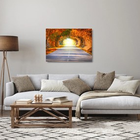 Obraz na szkle - Brama wykonana z koron drzew (70x50 cm)