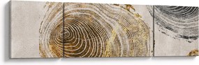 Obraz - Abstrakcja pnia (170x50 cm)