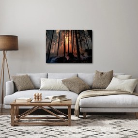 Obraz ciemnego lasu (70x50 cm)