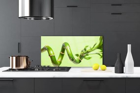 Szkło do Kuchni na Ścianę Świeże Pędy Zielonego Bambusa