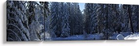 Obraz śnieżnego lasu (170x50 cm)