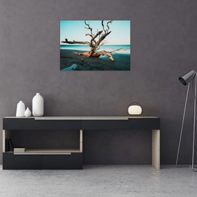 Obraz -  Wyłowiono na plaży (70x50 cm)