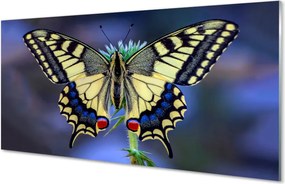 Panel szklany do Kuchni Chwila Odpoczynku Motyla