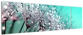Obraz - zroszona roślina (170x50 cm)